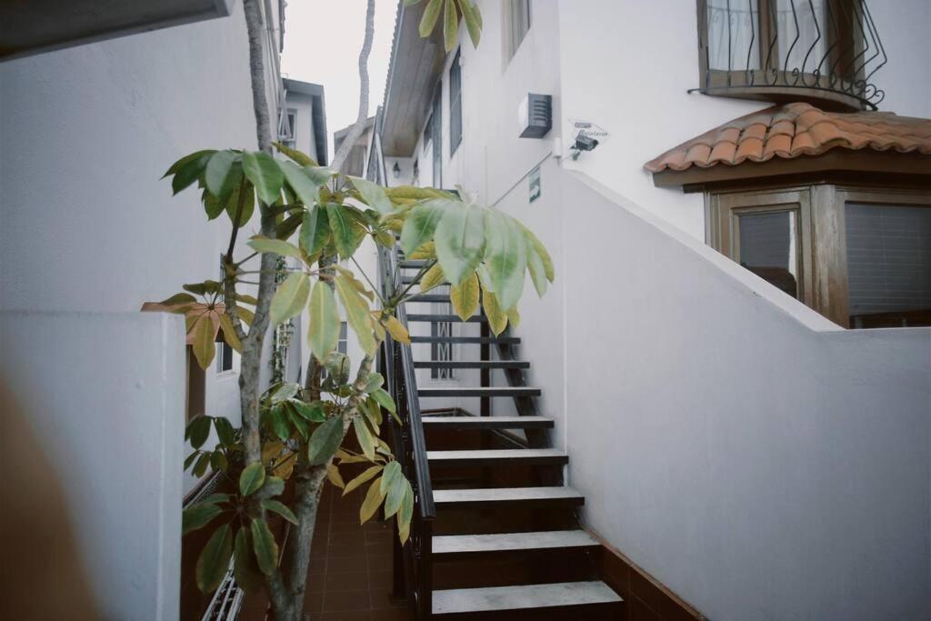 Casa Macfarland Boutique Daire Ensenada Dış mekan fotoğraf