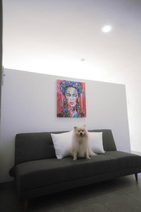 Casa Macfarland Boutique Daire Ensenada Dış mekan fotoğraf